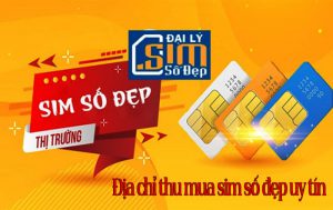 thu mua sim số đẹp giá cao toàn quốc