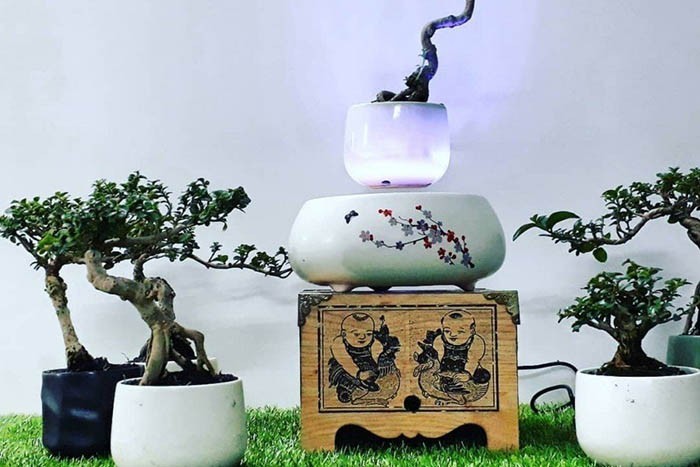 60+ Món quà tặng sinh nhật cho bố ý nghĩa nhất 6 60+ Món quà tặng sinh nhật cho bố ý nghĩa nhất