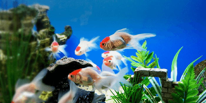 60+ Món quà tặng sinh nhật cho bố ý nghĩa nhất 7 60+ Món quà tặng sinh nhật cho bố ý nghĩa nhất